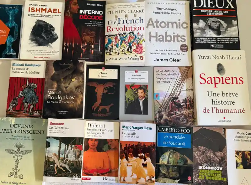 Frédéric Damato lisant un livre